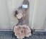 Black Cottonwood Cookie Lumber