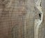 Claro Walnut Slab Lumber