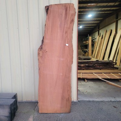 Giant Sequoia / Giant Redwood Slab Lumber