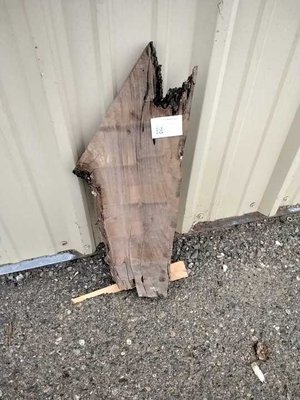 English Walnut Slab Lumber
