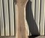 Blue Oak  Slab Lumber