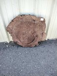 Claro Walnut Cookie Lumber