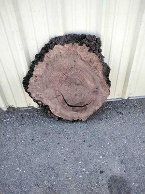 Claro Walnut Cookie Lumber