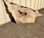 Cottonwood Cookie Lumber