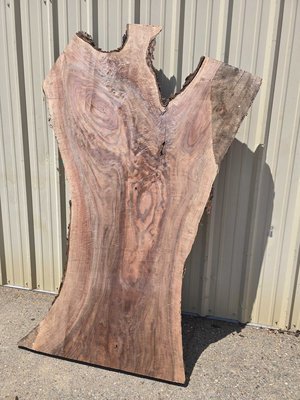 English Walnut Slab Lumber