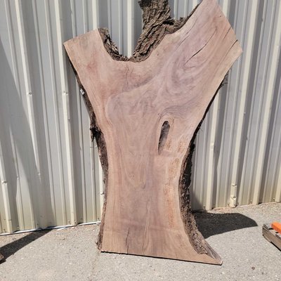 English Walnut Slab Lumber