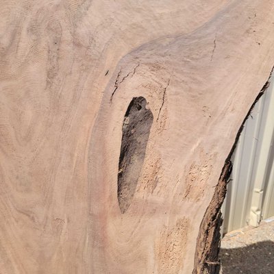 English Walnut Slab Lumber