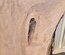 English Walnut Slab Lumber