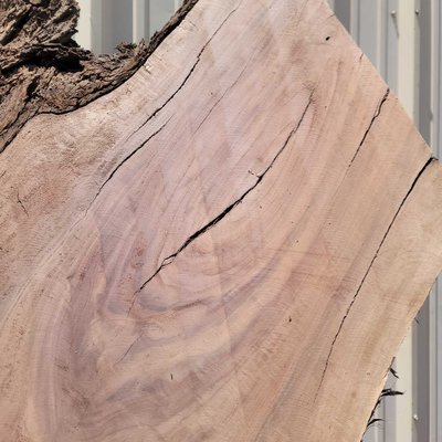 English Walnut Slab Lumber