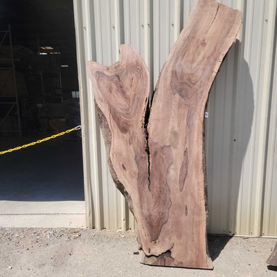 English Walnut Slab Lumber