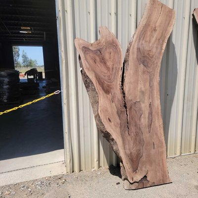 English Walnut Slab Lumber