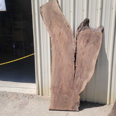 English Walnut Slab Lumber