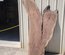 English Walnut Slab Lumber