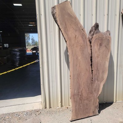 English Walnut Slab Lumber