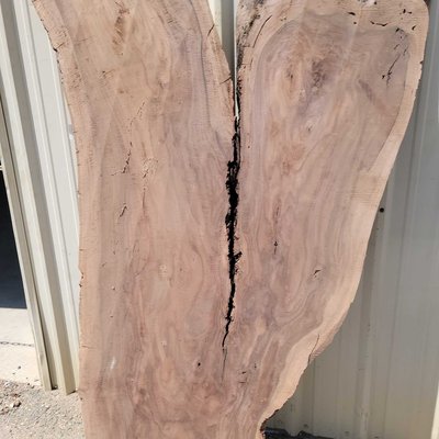 English Walnut Slab Lumber