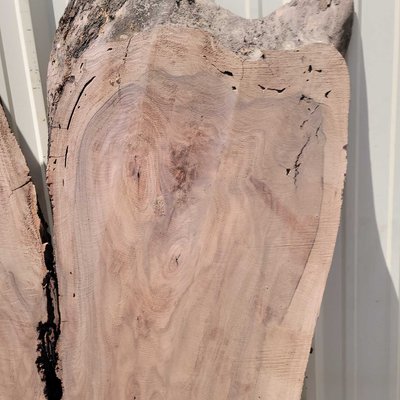 English Walnut Slab Lumber