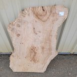 Cottonwood Slab Lumber