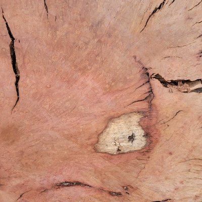 Pacific Madrone Slab Lumber