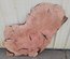 Pacific Madrone Slab Lumber